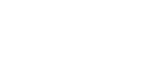 Sowineco White Logo