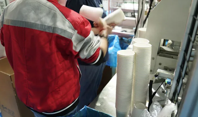 staff is checking the paper cup quality
