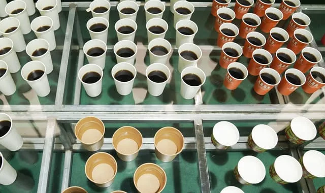 Paper Cups leakproof test